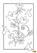 Oiseaux et fleurs &agrave; colorier en beaut&eacute;